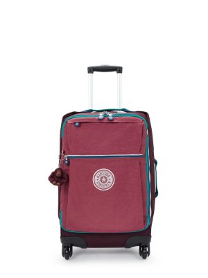 Darcey Small Carry-On Rolling Luggage