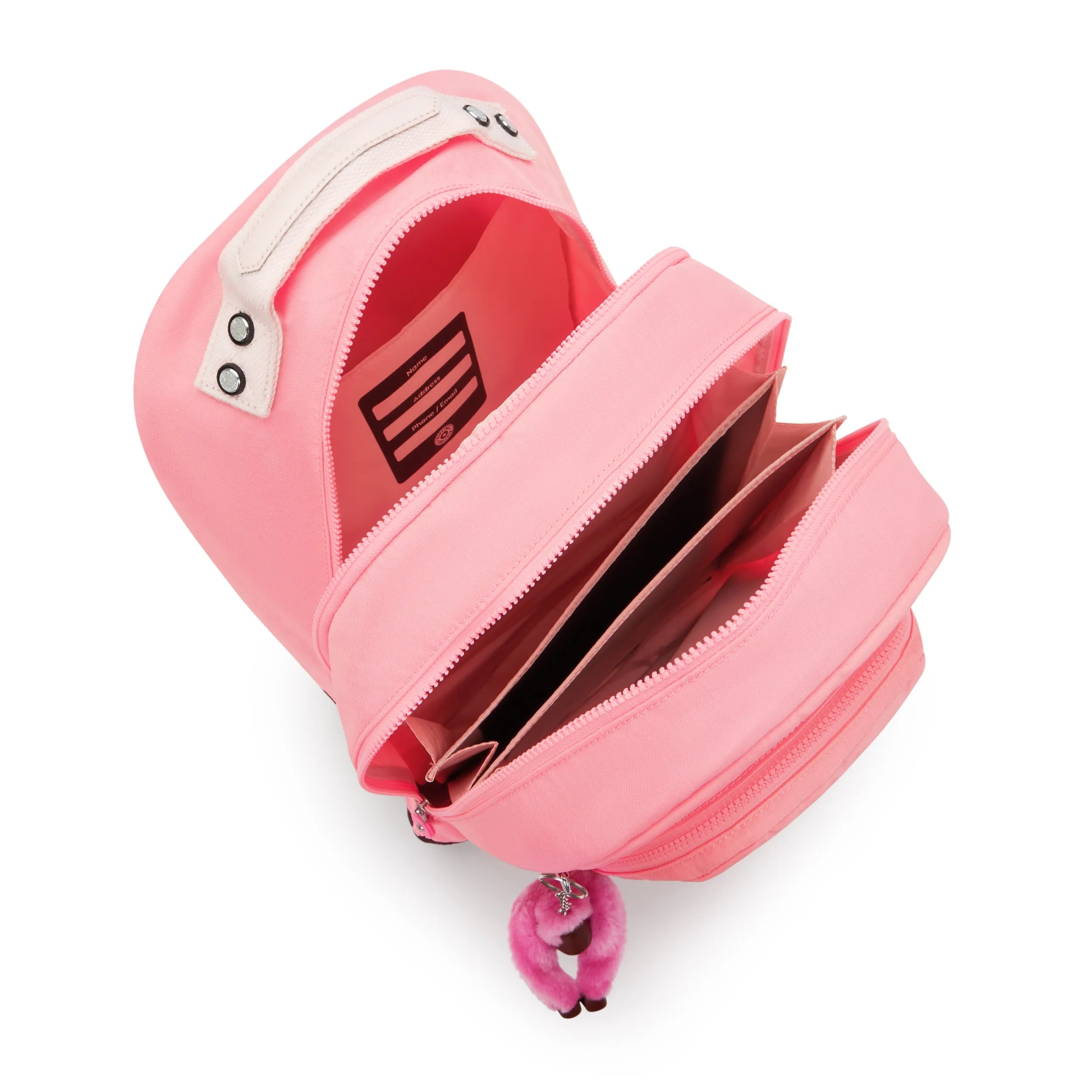 Classroom 17 Laptop Backpack - Image 3