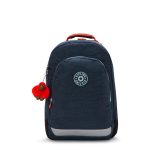 Classroom 17 Laptop Backpack