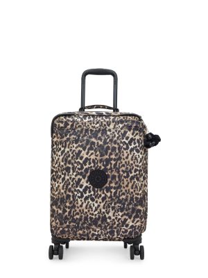 Spontaneous Small Printed Rolling Luggage