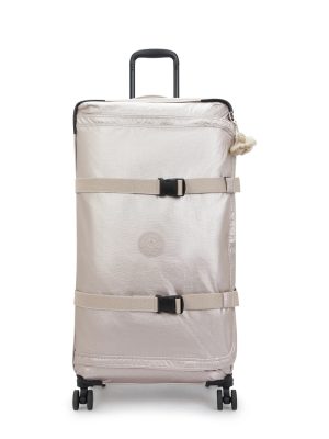 Spontaneous Large Metallic Rolling Luggage