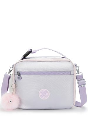 Ermy Metallic Lunch Bag